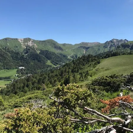 Mont-dore, 2 Pièces, 4 Personnes - Fr-1-608-208 *