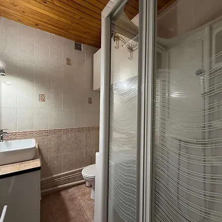 Mont-dore, 2 Pièces, 4 Personnes - Fr-1-608-208 Appartement *